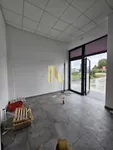 Lokal | 4zida