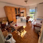 Novi Sad, Gradske lokacije, Detelinara, Nova Detelinara | 4zida.rs | 4zida.rs