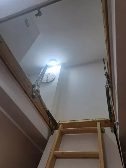 Kiš Ernea 40 | 4zida.rs