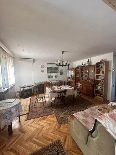 Živojina Katića-Žike