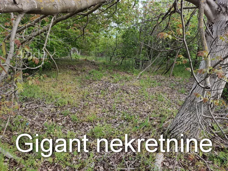 Plac | 4zida