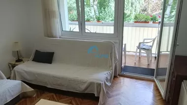 Zaplanjska