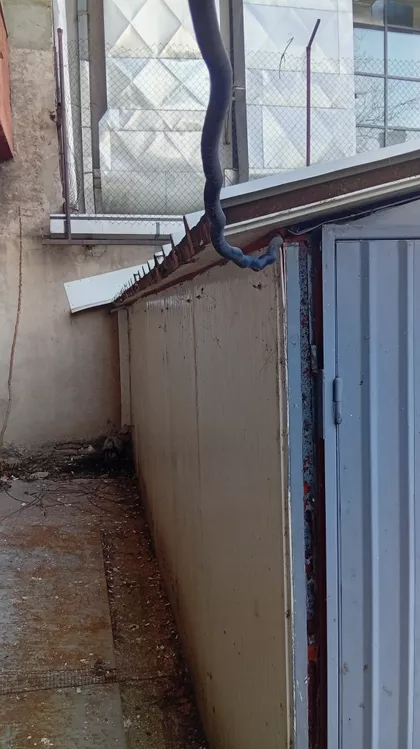 Obrenovićeva 1/1 | 4zida.rs