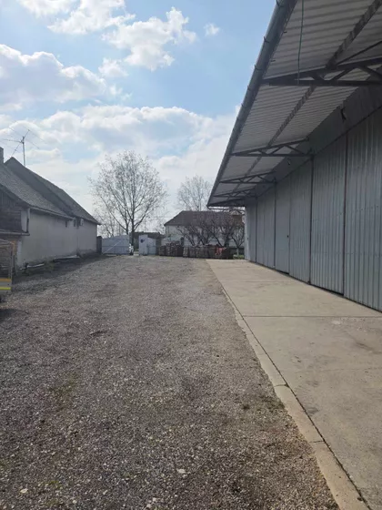 Svetozar Miletić | 4zida.rs