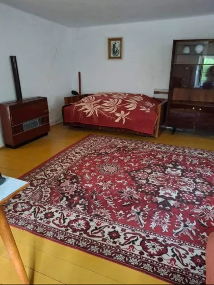 Jaša Tomić | 4zida.rs