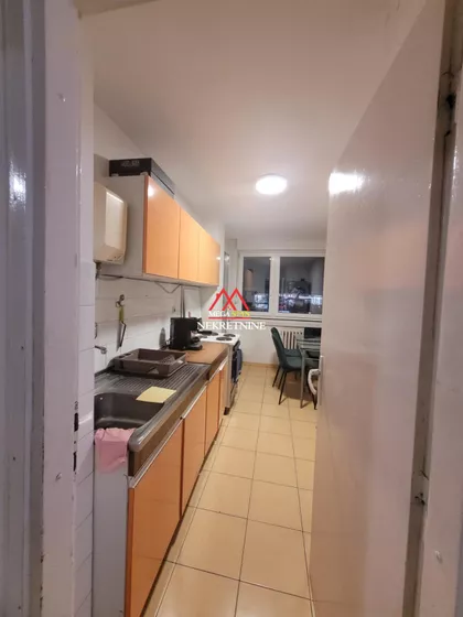 Dr Ivana Ribara | 4zida.rs