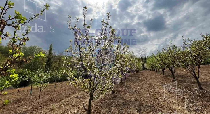 Poljoprivredno zemljište | 4zida