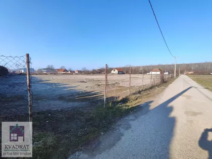 Krtinska | 4zida.rs