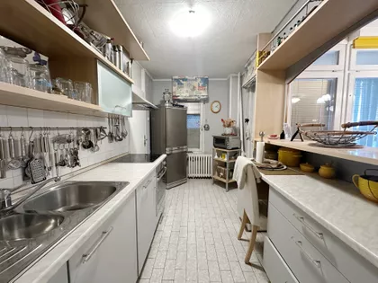 Bulevar Arsenija Čarnojevića | 4zida.rs