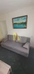 Novi Sad, Gradske lokacije, Detelinara | 4zida.rs | 4zida.rs