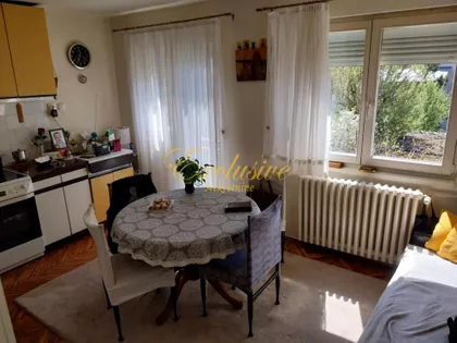 Roze Luksemburg | 4zida.rs