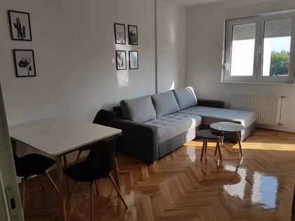 Polgar Andraša 8 | 4zida.rs