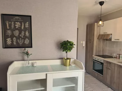 Novi Sad - Centar | 4zida.rs