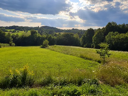 Ovčar Banja | 4zida.rs