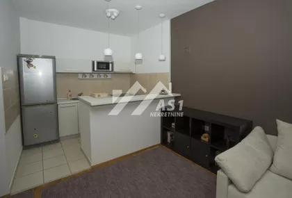 Polgar Andraša | 4zida.rs