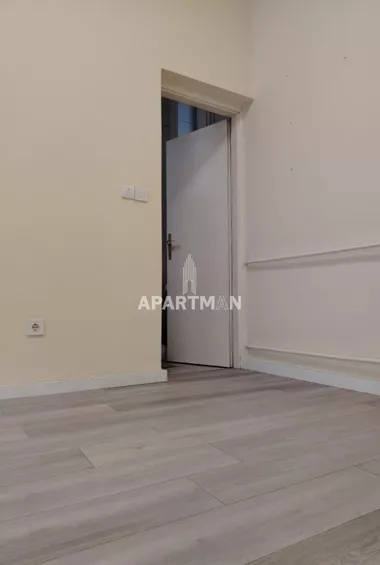 Stojana Protića