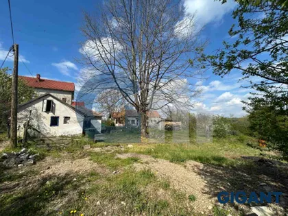 Afi Ekong | 4zida.rs