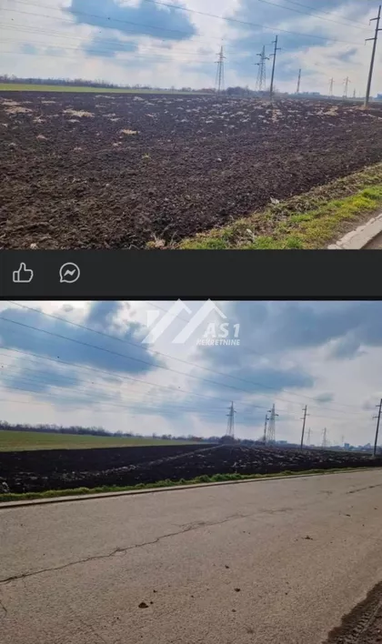 Zeleno polje | 4zida.rs