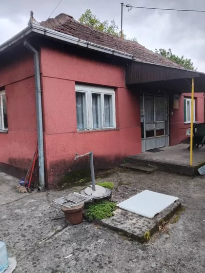 Miletine Bune | 4zida.rs