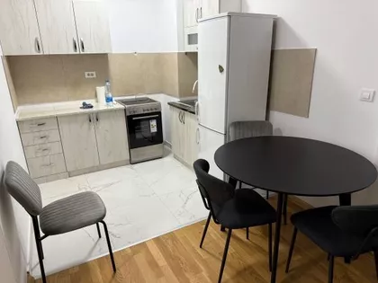 Mirka Milojkovića | 4zida.rs