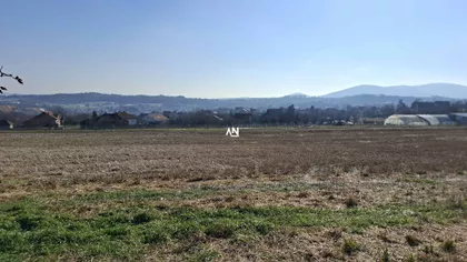 Jovana Cvijića | 4zida.rs