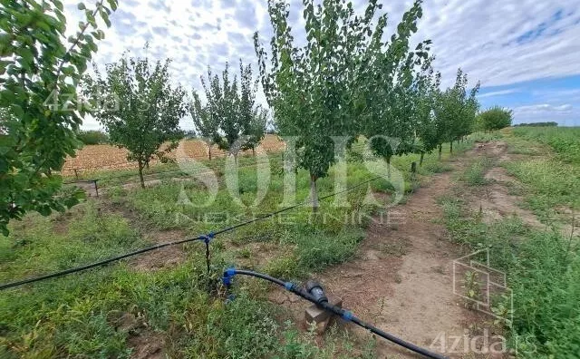 Poljoprivredno zemljište | 4zida