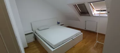 Južni Telep | 4zida.rs