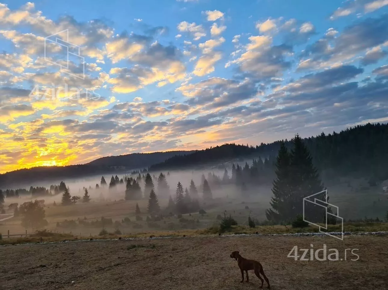 1-etažna kuća | 4zida