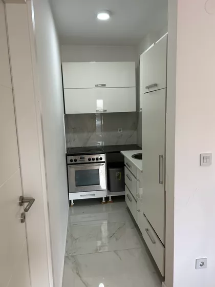 Gospodara Vučića | 4zida.rs