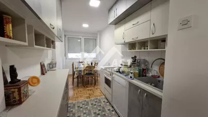 Bulevar despota Stefana, pet friendly | 4zida.rs