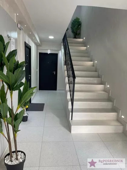 Miodraga Petrovića Čkalje | 4zida.rs