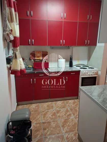 Dr Svetislava Kasapinovića | 4zida.rs