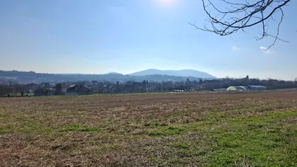 Jovana Cvijića | 4zida.rs