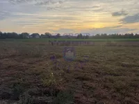 Futog, Okolne lokacije, Novi Sad | 4zida.rs