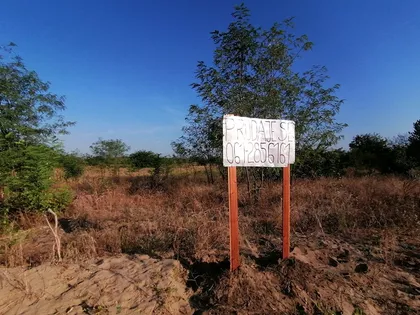 Srpski Šor | 4zida.rs