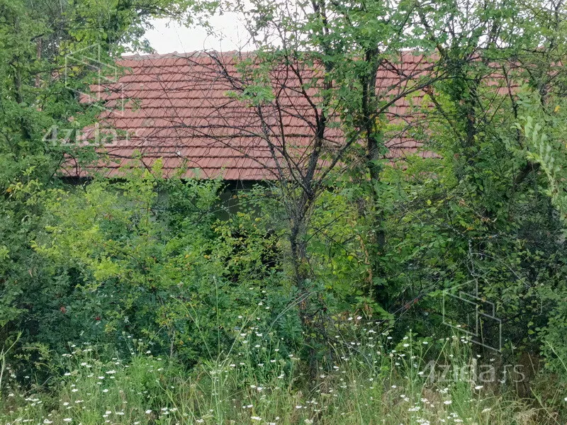 Plac | 4zida