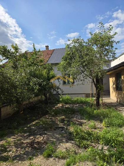 Salajka | 4zida.rs