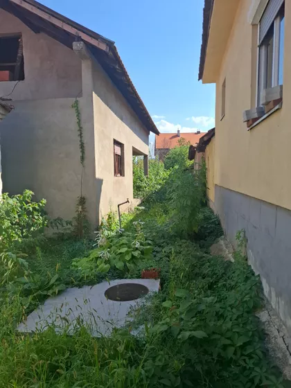 Bivolje | 4zida.rs