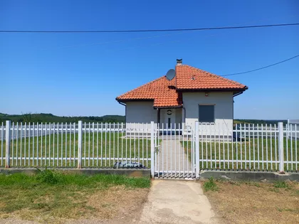 Pambukovica | 4zida.rs