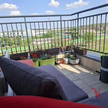 Petrovaradin | 4zida.rs