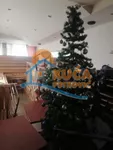 Lokal | 4zida