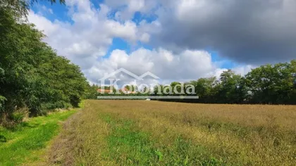 Kosmajski trg | 4zida.rs