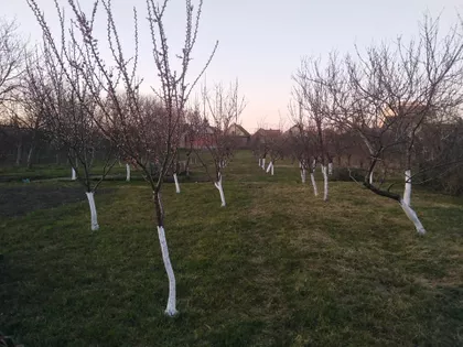 Stari Šor 21 | 4zida.rs