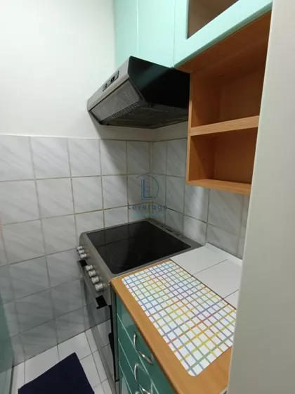 Učiteljice Leontine Kraus | 4zida.rs