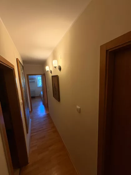 Žike Mesarovića | 4zida.rs