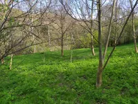 Plac | 4zida