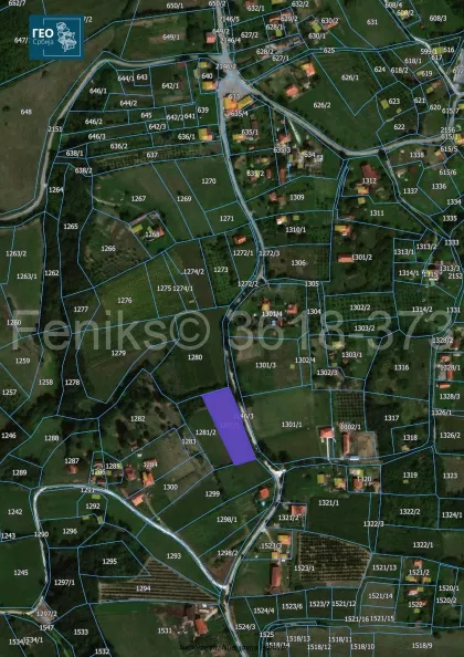 Ratka Jevića | 4zida.rs