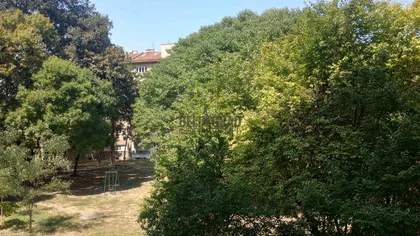 Luja Adamiča | 4zida.rs
