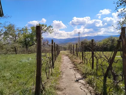 Gračac | 4zida.rs