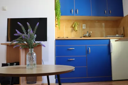 Trg žrtava fašizma | 4zida.rs